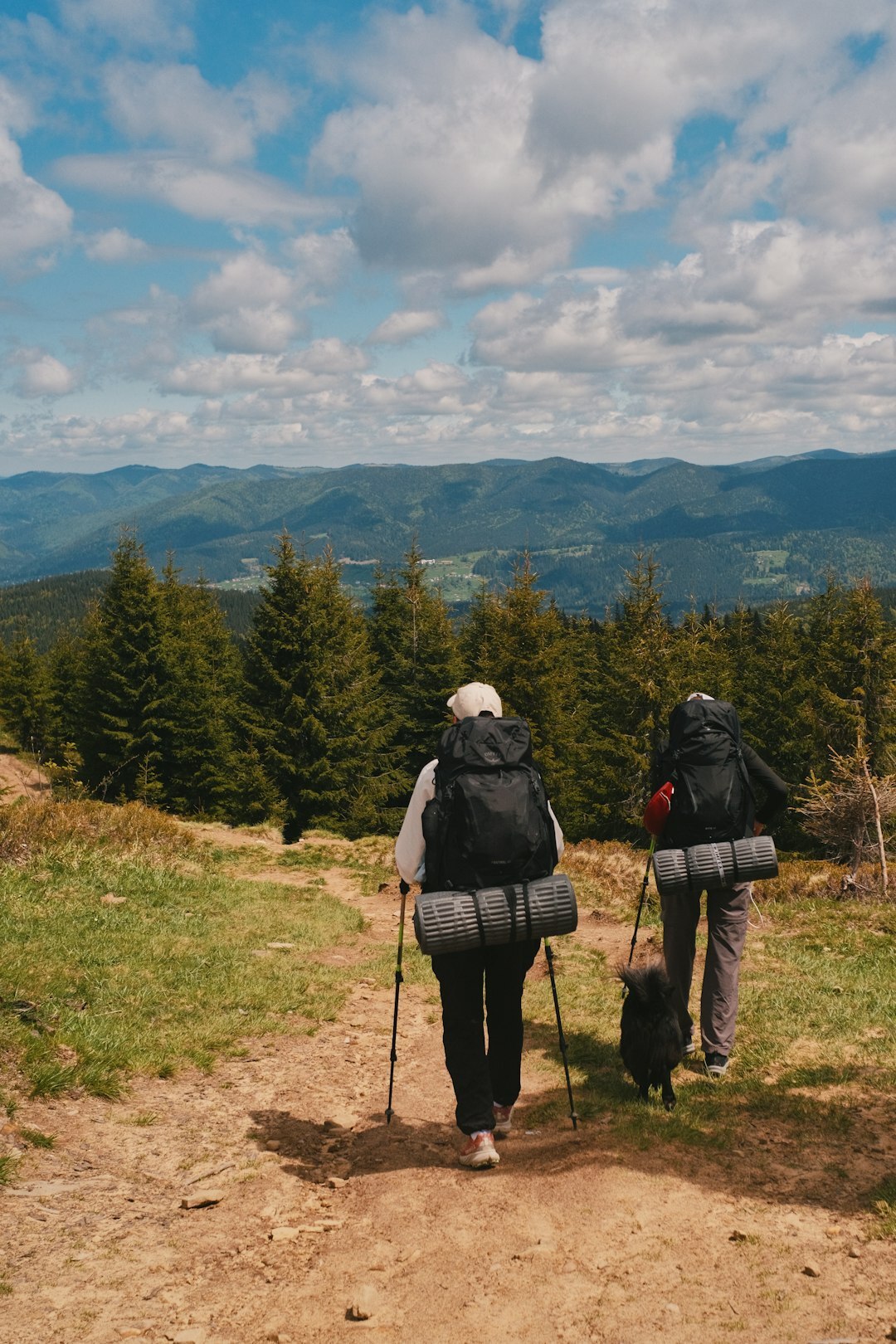 seniors hiking in nature