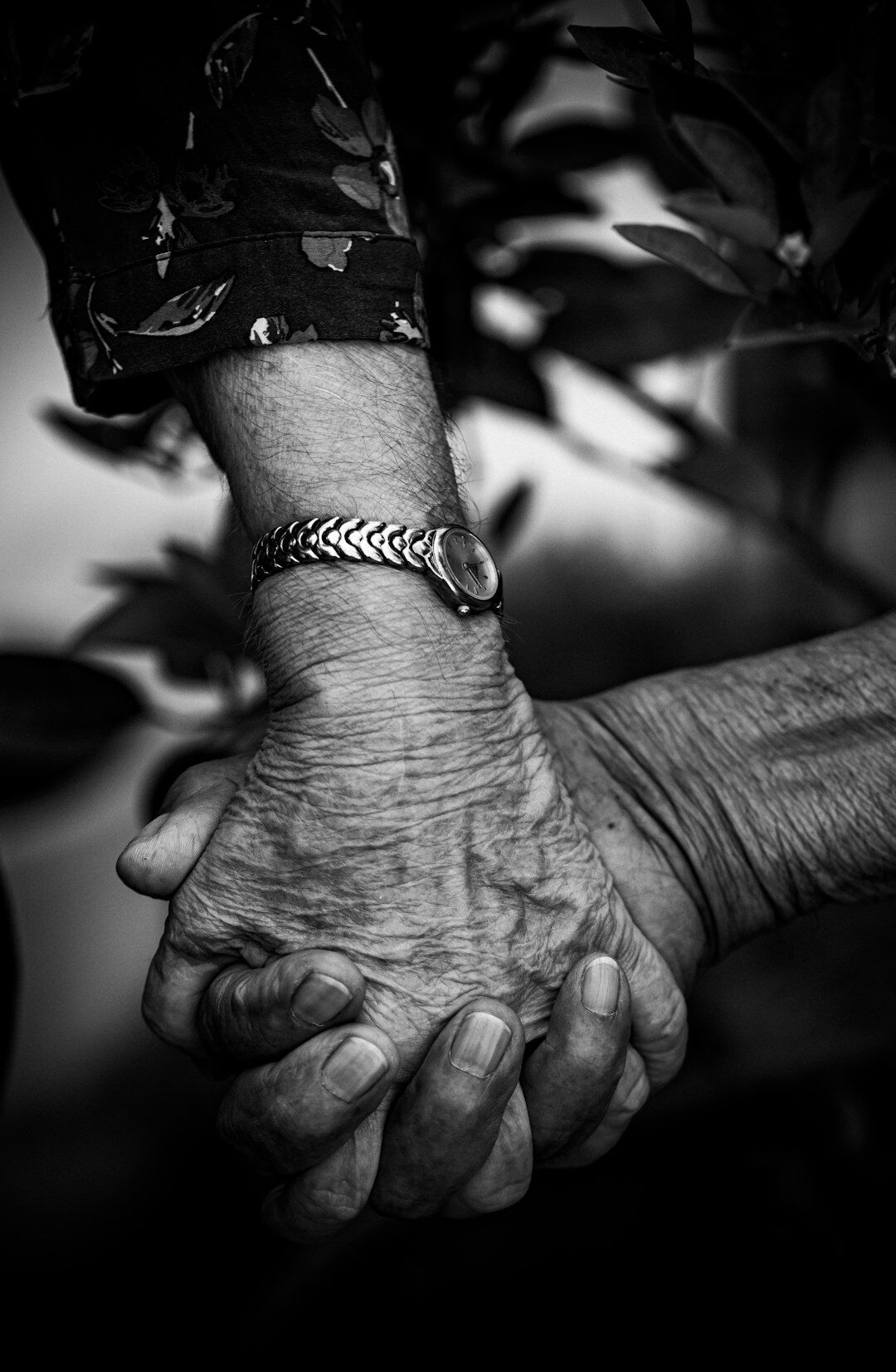 elderly couple holding hands
