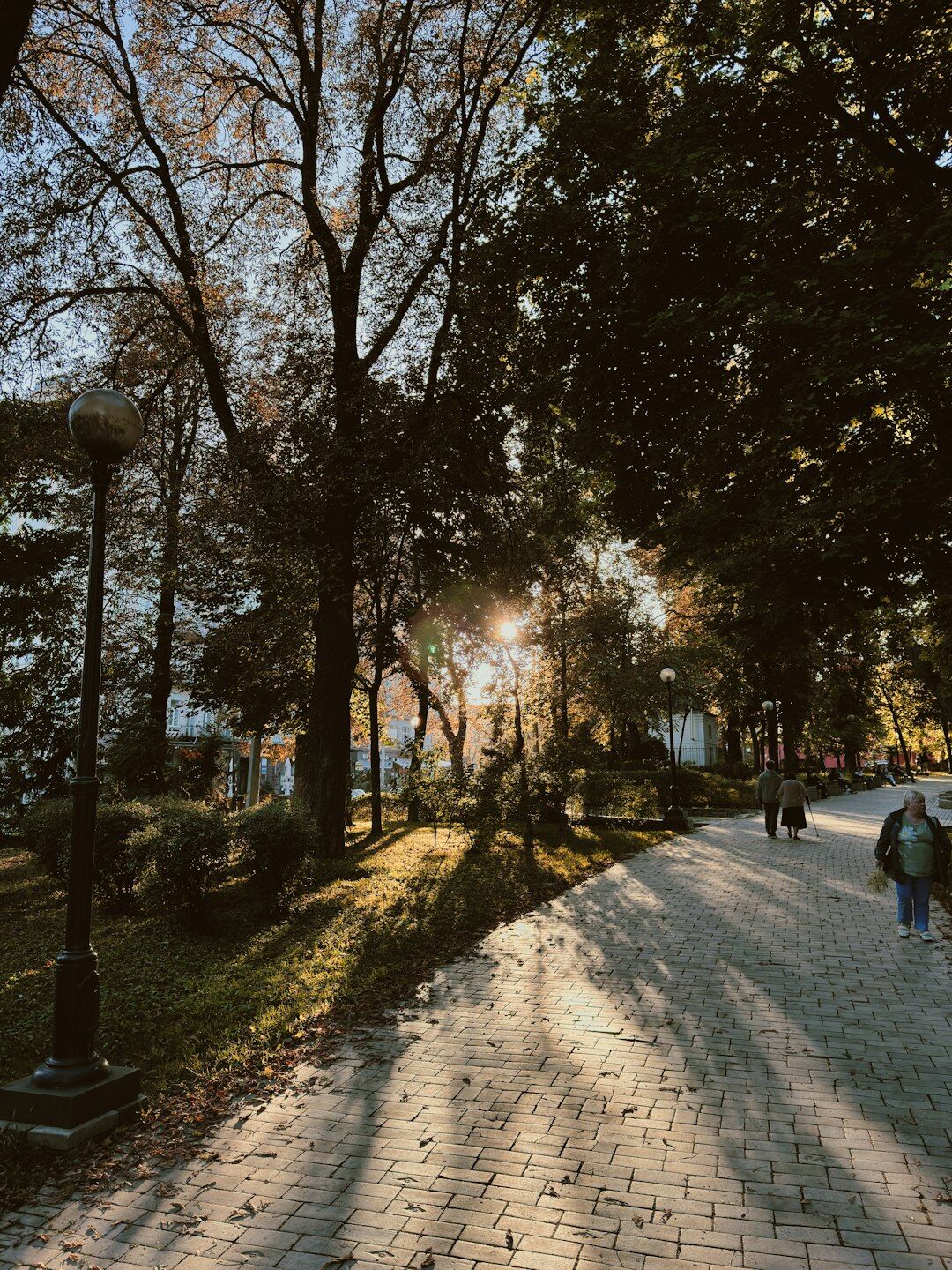 elderly couple walking in park